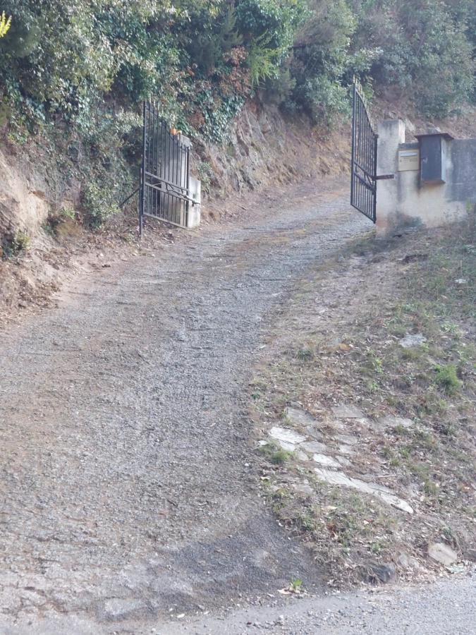 Ribellu Villa Bastia  Bagian luar foto