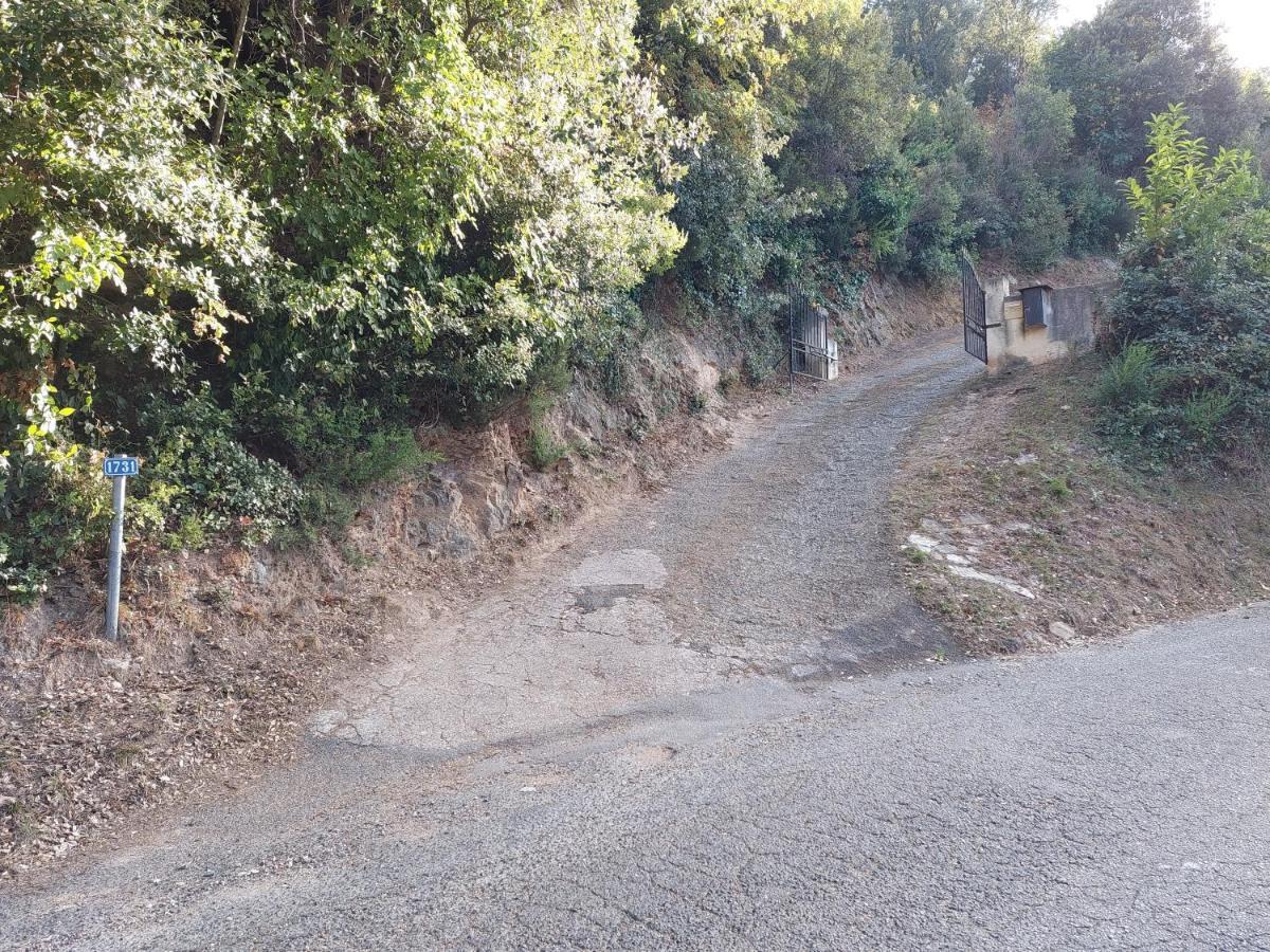 Ribellu Villa Bastia  Bagian luar foto